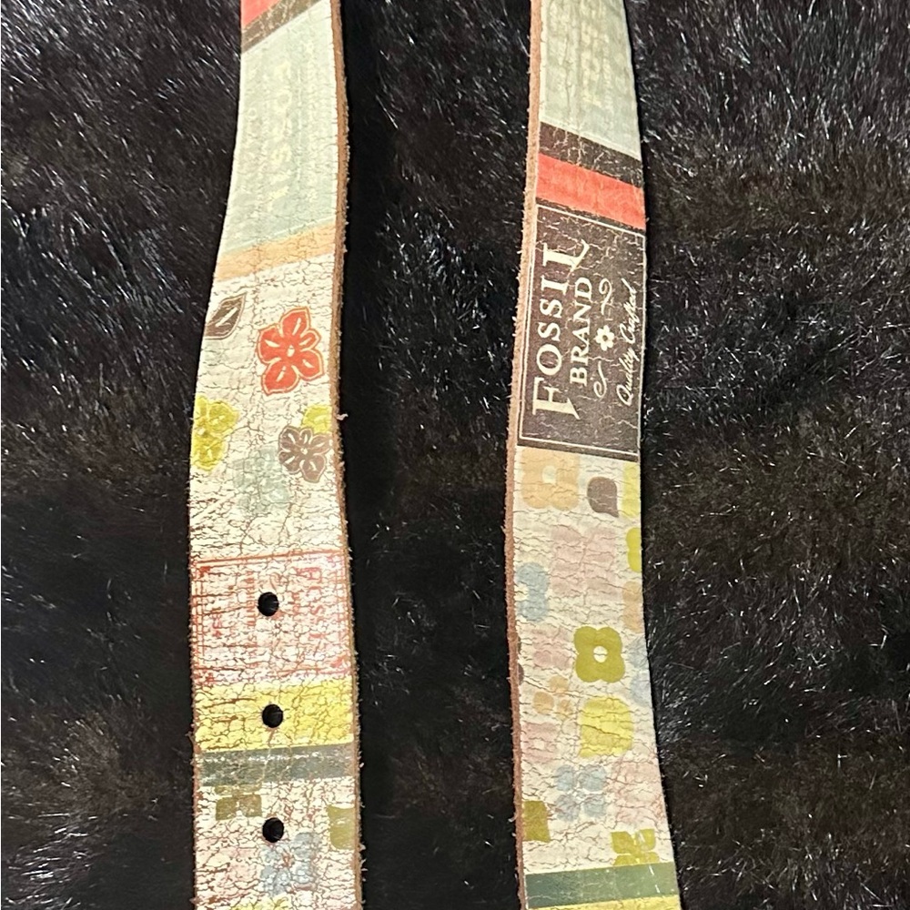 Women’s Fossil Belt